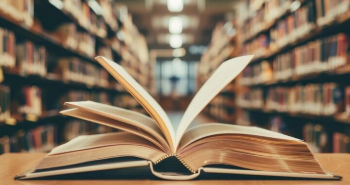 literackie-portrety-bab---i-dziadk--w-w-nadarzynie-auto-6397