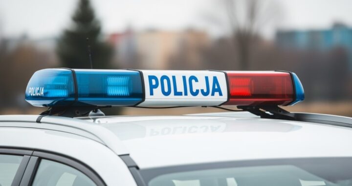 blisko-10-tysi--cy-zg--osze---i-ponad-13-tysi--cy--auto-6584