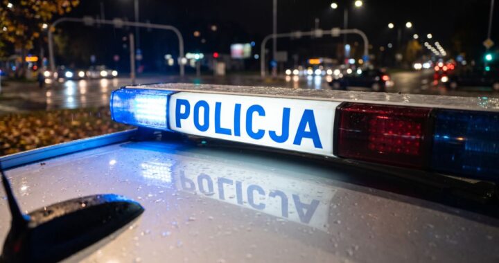 areszt-dla-zatrzymanych-za-oszustwa-metod---na-pra-auto-11448